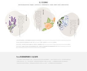 軟件開發 關鍵要素、參數與用戶體驗分析